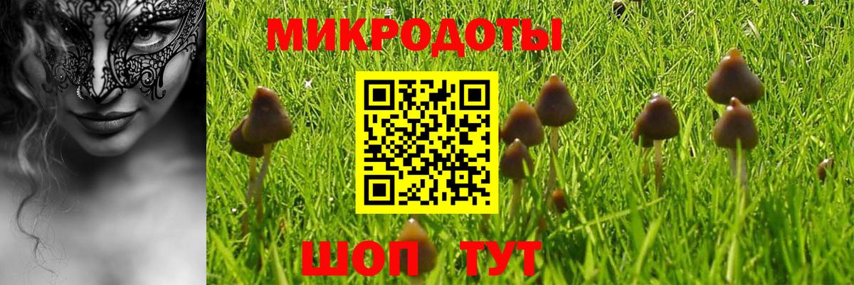 Псилоцибиновые грибы GOLDEN TEACHER Гурьевск