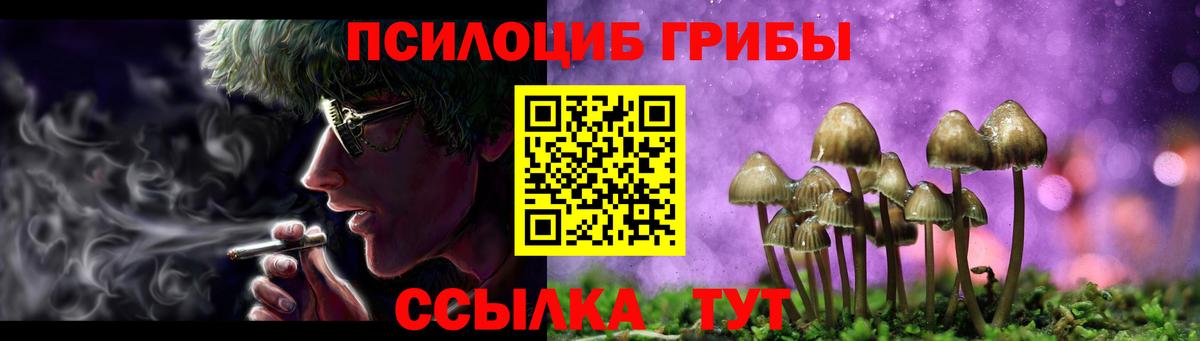 продажа наркотиков  Вход с VPN  Гурьевск  Галлюциногенные грибы MAGIC MUSHROOMS 